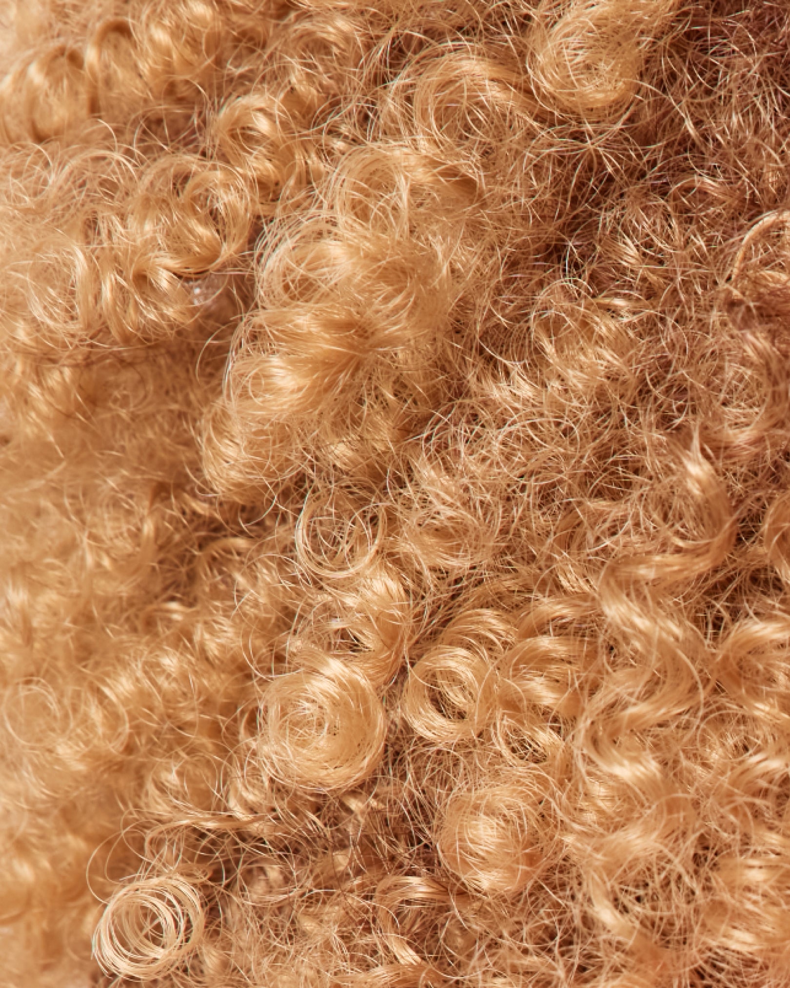 Coily hair